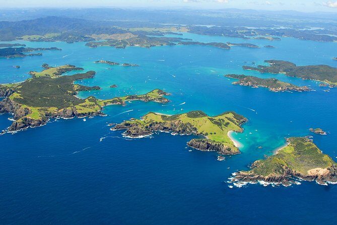 Group tour to Bay of Islands return from Auckland - What Reviewers Say