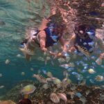 Guam's Private 5 Star Guided Snorkeling Tour! - The Value and Pricing