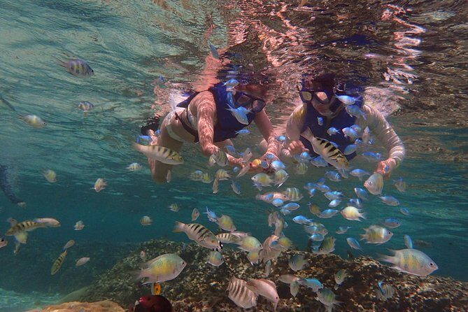 Guam's Private 5 Star Guided Snorkeling Tour! - The Value and Pricing