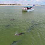 Guided Dolphin Eco-Cruise in Koombana Bay - How the Tour Feels: Relaxed, Informative, and Respectful