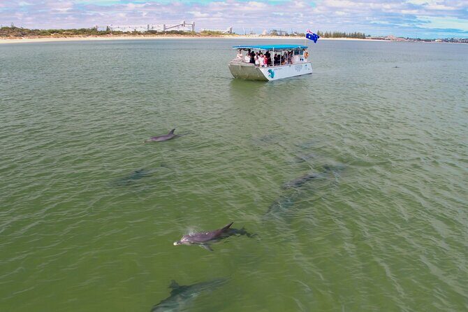 Guided Dolphin Eco-Cruise in Koombana Bay - How the Tour Feels: Relaxed, Informative, and Respectful