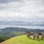 Guided Horse Trekking from Rotorua - The Practical Details