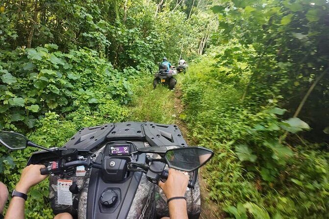 Guided tour of the island and its escapades in Tahaa by Quad / ATV - What Makes This Tour Stand Out?