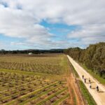 Hahndorf food and wine E-Bike Tour - What the Tour Looks Like: An In-Depth Breakdown