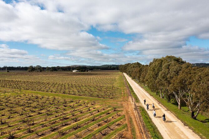 Hahndorf food and wine E-Bike Tour - What the Tour Looks Like: An In-Depth Breakdown