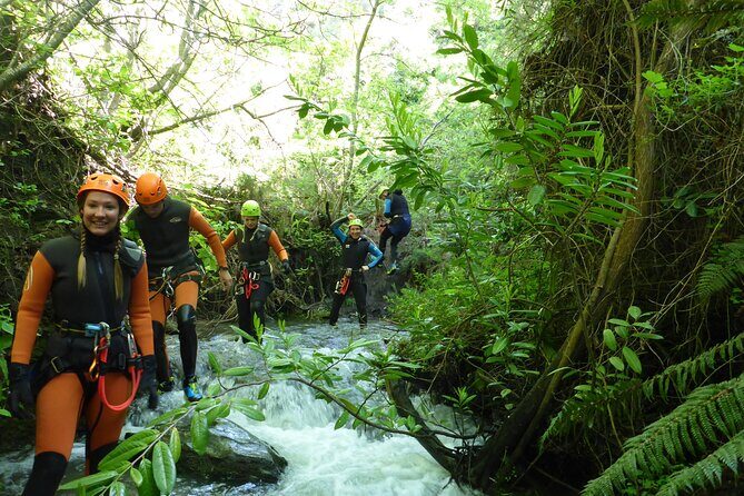 Half-Day Canyoning in Gibbston Valley from Queenstown - Deep Dive into the Itinerary
