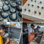 Half day excursion Tahaa - departure Raiatea / ideal cruise line - Who Is This Tour Best For?