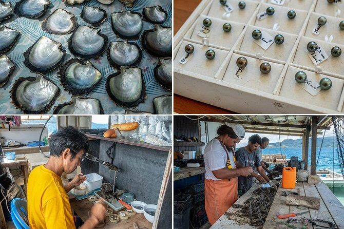 Half day excursion Tahaa - departure Raiatea / ideal cruise line - Who Is This Tour Best For?