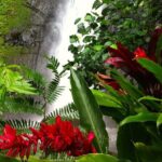 Half-Day Guided Hike to Afareaitu Waterfall - Who Will Love This Tour?