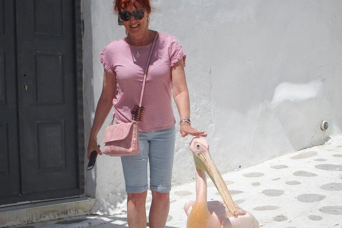 Half-Day Highlights of Mykonos Tour - Getting there without hotel pick-up: plan your first move