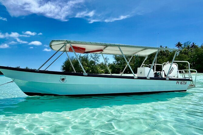 Half Day / Private Lagoon Adventure in Mo'orea - The Cost and Its Value