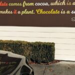 Half Day Sightseeing and Taste Tour - The Experience: What It Feels Like