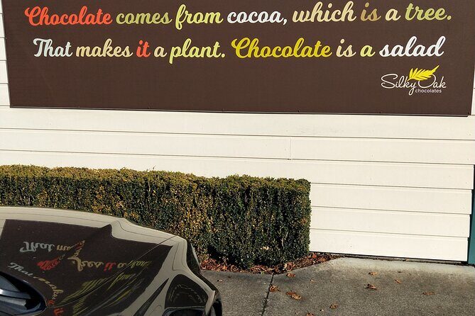 Half Day Sightseeing and Taste Tour - The Experience: What It Feels Like