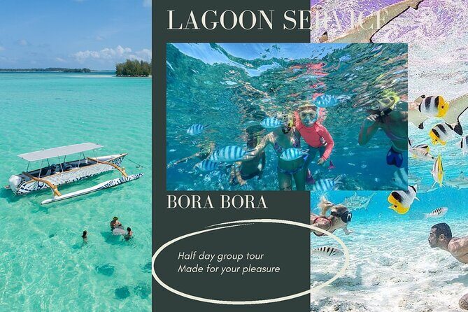 Half-Day Small-Group Cruise in Bora Bora with Snorkelling - The Experience in Detail