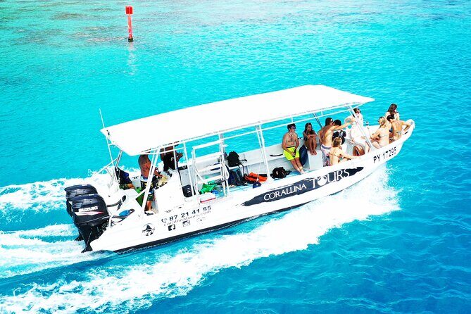 Half Day Snorkeling in Moorea - FAQs