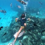 Half-Day Snorkeling Tour in Tahiti - The Snorkeling Experience: Pros and Cons
