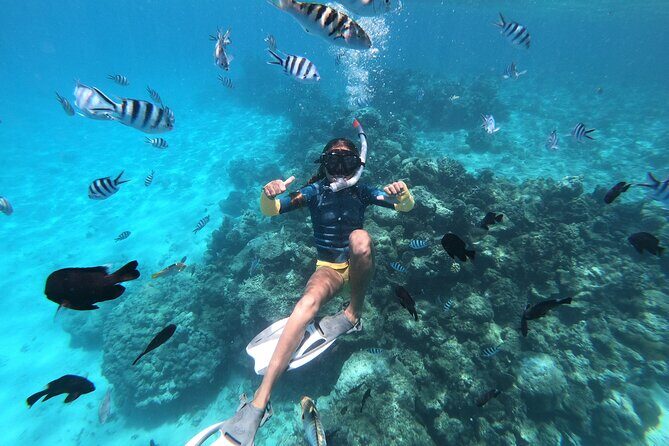 Half-Day Snorkeling Tour in Tahiti - The Snorkeling Experience: Pros and Cons
