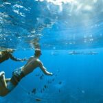 Half Day Tour lagoon discovery marine fauna flora small group - What to Expect from the Tour: A Step-by-Step Breakdown