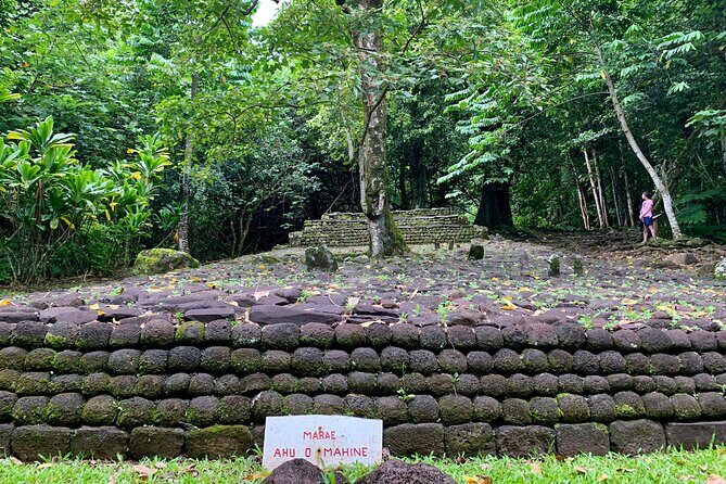 Half-Day Tour of Moorea Island in a Small Group - Transportation and Group Size