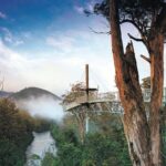 Hastings Caves, Tahune Airwalk and the Huon Tasting Trail - Tahune Airwalk: Walking Among the Trees