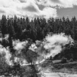 Hell's Gate Geothermal Walk - What You Can Expect from Reviews