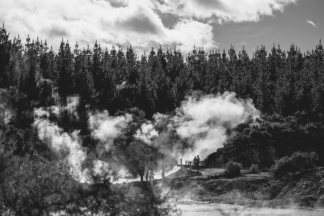 Hell's Gate Geothermal Walk - What You Can Expect from Reviews