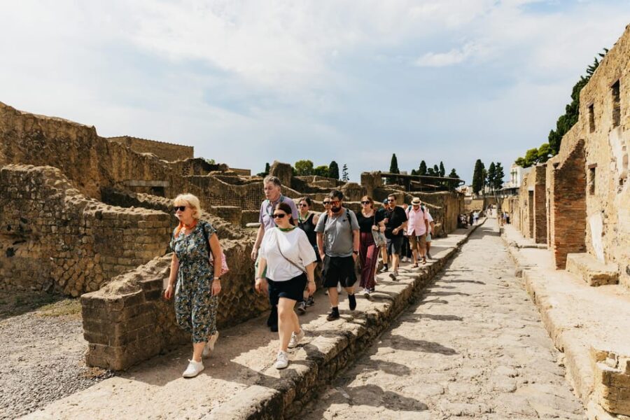 Herculaneum: Skip-the-Line Guided Tour with Archaeologist - Price and Value for a 2-Hour Archaeology Walk