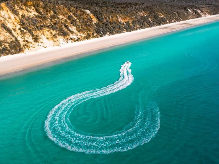 Hervey Bay: Half-Day Whale and Island Adventure by Boat - FAQs