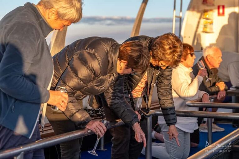 Hervey Bay: Relaxing Sunset Cruise with Champagne and Prawns - Who Will Love This Tour?