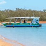 Hervey Bay: Turtle Discovery Eco Tour - The Itinerary: What You Can Expect