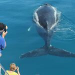Hervey Bay Whale Odyssey Cruise - The Food and Comfort Factor