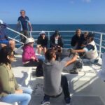 Hervey Bay: Whalesong's Half-Day Whale Watching Cruise& Meal - What Makes This Tour Stand Out?