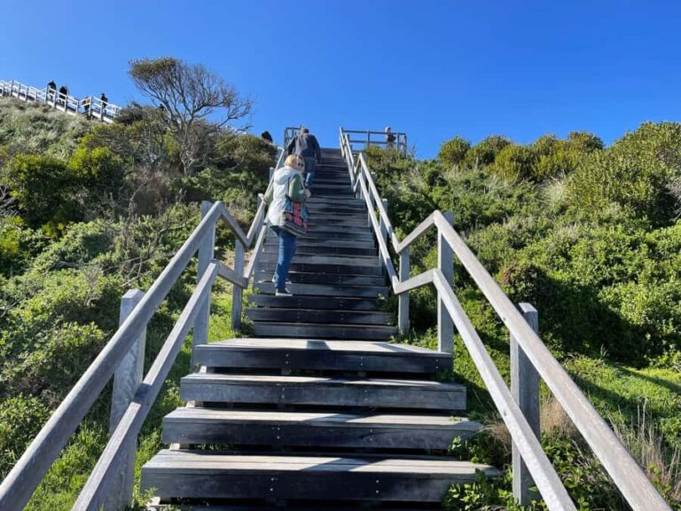 Hobart: Bruny Island Adventure: Hike, Highlights & Tastes - Final Thoughts: Who Is This Tour Best For?