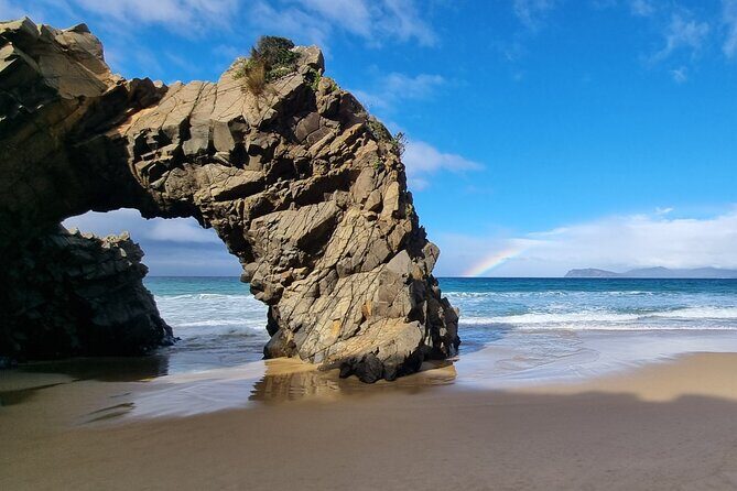Hobart: Bruny Island Adventure: Hiking, Highlights & Local tastes - Food and Tasting Experiences