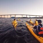 Hobart City 2.5-Hour Kayak Tour - Is It Worth the Price?