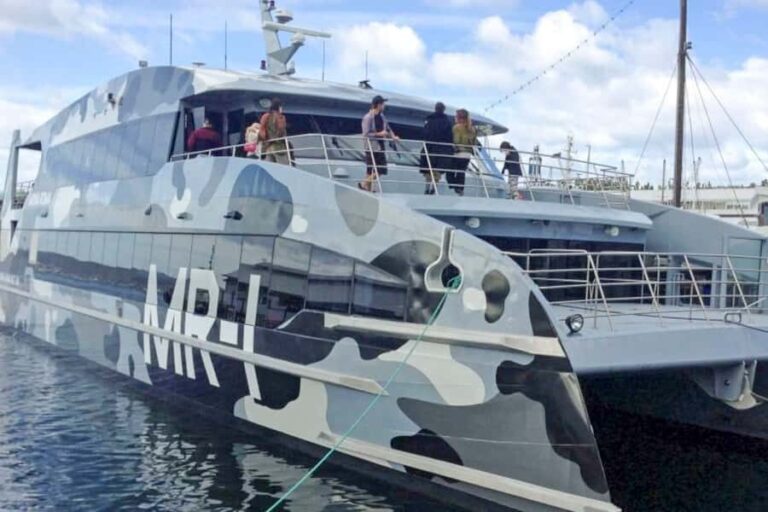 Hobart City Sightseeing Tour including MONA Ticket - A Detailed Look at the Hobart City & MONA Experience