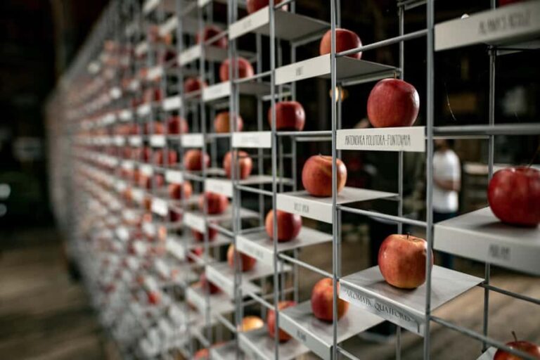 Hobart: Hastings Cave, Tahune Airwalk and Huon Tasting Trail - What Sets This Tour Apart