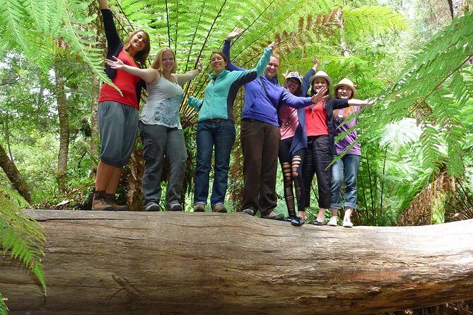 Hobart: Mt. Field, Mt Wellington & Wildlife - Active Day Tour - Who Should Consider This Tour?