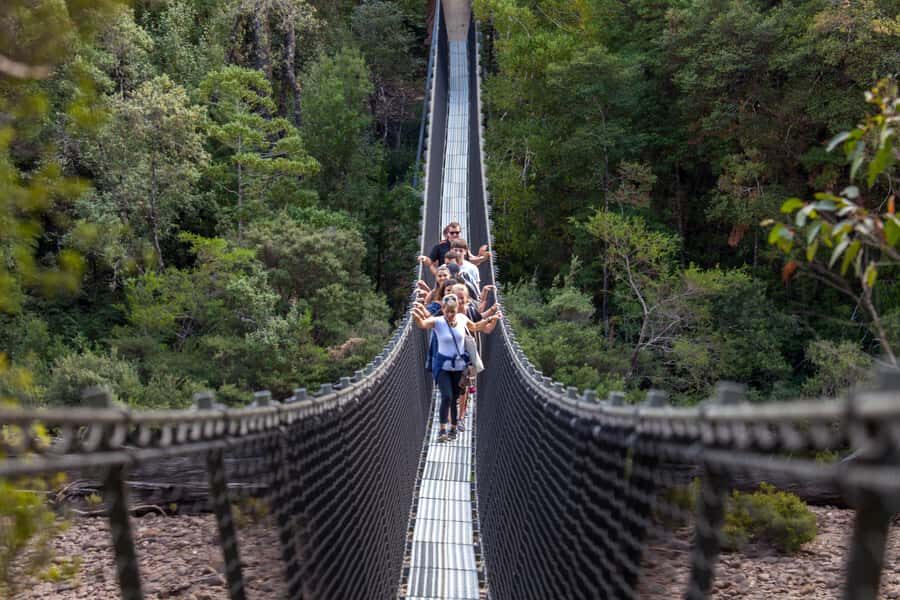 Hobart: Tahune Airwalk, Hastings Cave, Thermal Springs Tour - What the Reviews Say