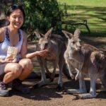 Hobart: Waterfalls, Wilderness & Wildlife - Active Day Tour - The Itinerary Breakdown: What You Can Expect