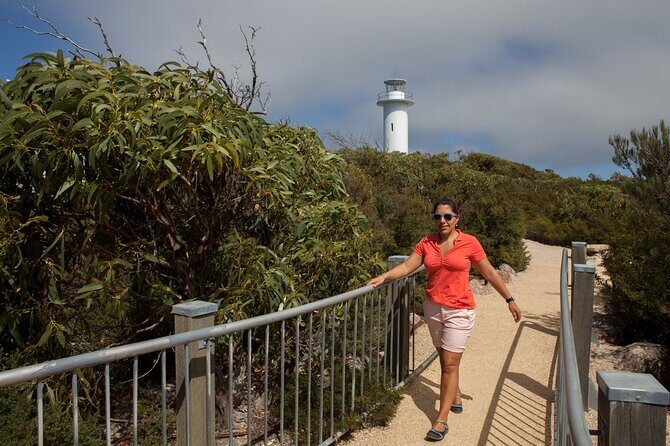 Hobart: Wineglass Bay & Freycinet National Park - Active Day Tour - Who Would Love This Tour?