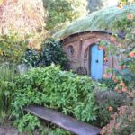 Hobbiton Movie Set Group Tour Early Access (Avoid the crowds!) - Who Should Consider This Tour?