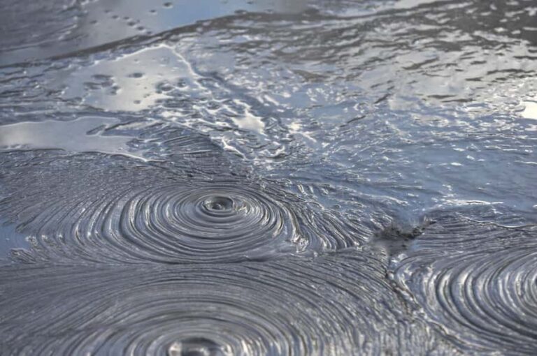 Hobbiton Movie Set & Rotorua Premium Day Tour from Auckland - The Value Proposition