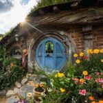 Hobbiton & Waitomo Caves Small Group Tour from Auckland inc Lunch - Hobbiton Movie Set