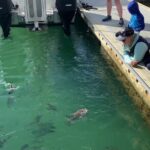 Hole in the Rock Cruise & Island Stopover (Half Day) - Deep Dive into the Experience