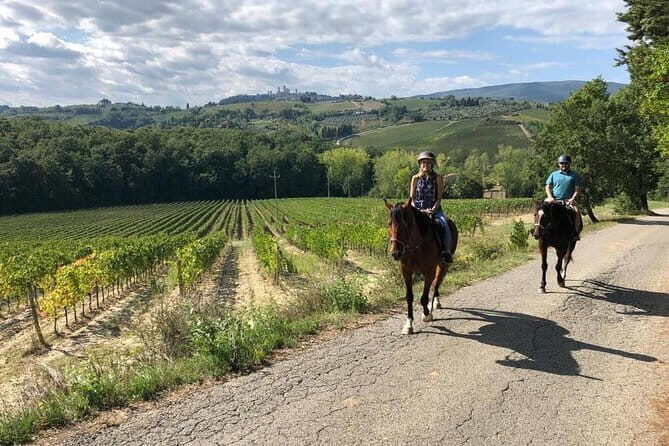 Horseback Ride in S.Gimignano with Tuscan Lunch Chianti Tasting - Lunch and Wine Tasting at a Working Winery