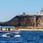 Humpback Whale Encounter Tour from Newcastle - The Guides & Educational Value