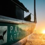 Humpback whale watching and marine life in Moorea - The Marine Life & Encounters