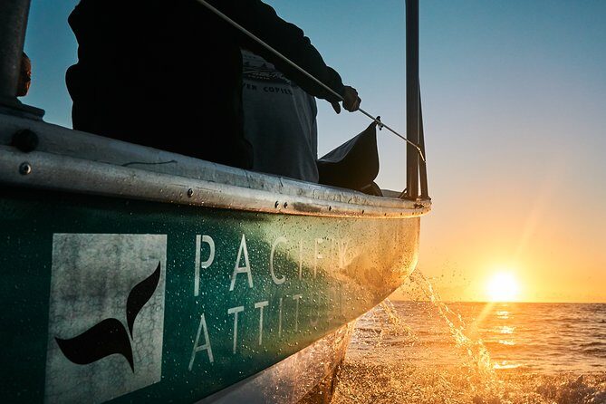 Humpback whale watching and marine life in Moorea - The Marine Life & Encounters