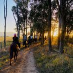 Hunter Valley: Sunset Horse Riding Tour 90min - The Ride Experience: Details and Atmosphere